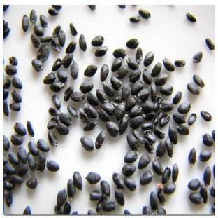 SIDDHARTH FISH FARM 100pcs Dragon Fruit Plant Seeds with Vermi compost 250 Gram Seed