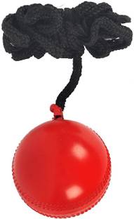 CE Rhino Practice Synthetic Ball Cricket Training Ball