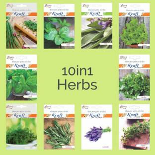 ActrovaX 10 Variety-Heirloom of Exclusive Collection Seed