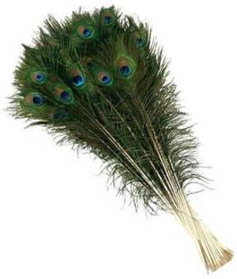 Rameshwars Pack of 21 Decorative Feathers
