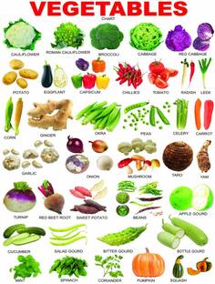 voorkoms 30.48 cm Vegetables Names Learning Chart Posters for Kids Learning Laminated Double Sided Study Room School Nursery Room Wall Sticker Removable Sticker