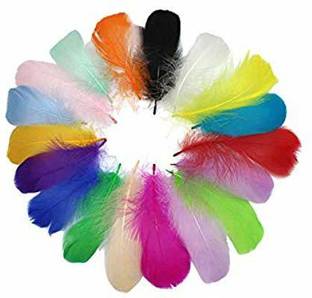 Tiptop Decoration Natural Dyed Feathers 10 cm (80 pieces) Multicolor