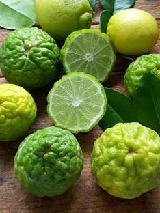 Qualtivate ® Mausambi Sweet Lemon Fruit - Citrus Limetta Seeds Seed