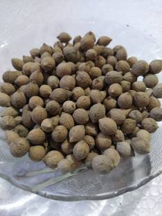 AmbeStore Putrajeevak Beej, Putrajeevak Seeds, 200gm Seed