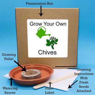 VibeX ® MXI-90-Chives – Indoor Herbs Growing Kit Seed