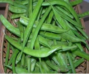 WATIKA Cluster Beans Gawar Phali Seed