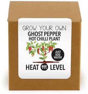 VibeX ® XII-112-Ghost Pepper Plant Kit Seed