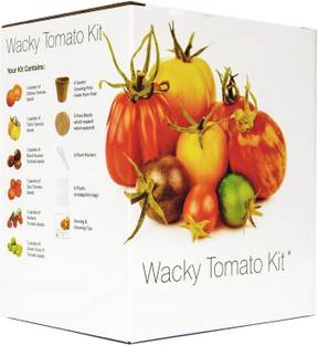 VibeX ® XII-294-Wacky Tomato Growing Kit Seed