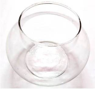 Green Plant indoor Glass Vase