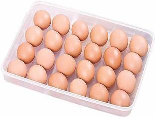 PAYTON Plastic Egg Container  - 2 dozen