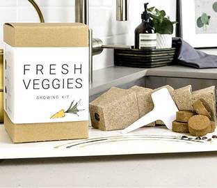 VibeX 81-Vegetable Plant Kit for Gifting Seed