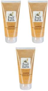Fruit of the earth shampoo with arnica & tea tree oil dandruff set of3 control