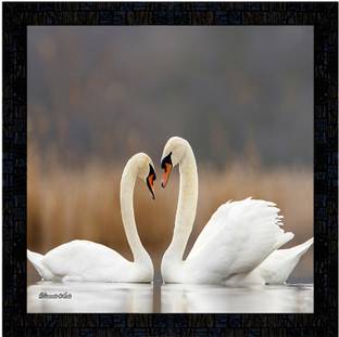 Poster N Frames Poster And Frame Swan Digital Poster | Home Decoration | Best Gifting Option Digital Reprint 14 inch x 14 inch Painting