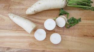 VibeX KGF-593 Garden Radish Japanese Long Non-GMO Vegetable Seeds Seed