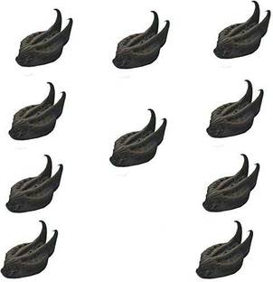 PMW GURUJI KIT SEEDS, BATHEAD ROOTS, EVIL POD, DEVIL POD - 10 pcs Seed