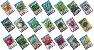 PRADHAM SEEDS Vegetable seeds Seed