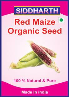 SIDDHARTH FISH FARM Hybrid Red Corn (maize) Traditional Seeds Seed