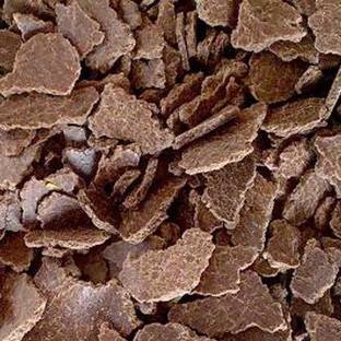 saraswati traders ZZ Plant