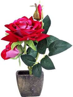 Bellveen Artificial Red Rose Flower with Square Pot for Home décor Wild Artificial Plant  with Pot
