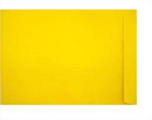 AbhaPrint Envelope Size A4 Yellow Letter Size Envelopes Ideal For Home Office Secure Mailing - (50Pcs) Envelopes