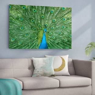 surmul 30.48 cm Peafowl Peacock Wall Sticker Classrooms, Homes, Schools, Sports Room, Lovely Sports Poster, Comforts Removable Sticker