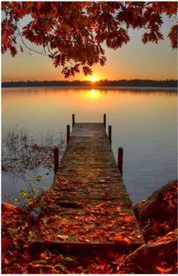 surmul 30.48 cm Nature Sunrise Field Beautifull Secene Finish Paper Wall Sticker Removable Sticker