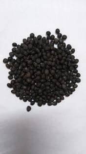GCS Kantola Seeds Spiny Spine Gourd Seed