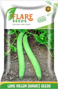 FLARE SEEDS LONG MELON (KAKRI) Seed