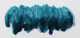 handymandy store Pack of 200 Decorative Feathers