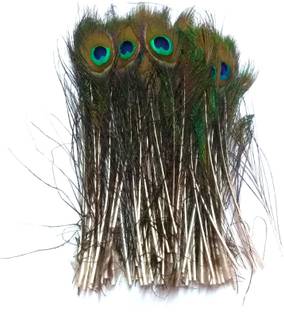 nawani Pack of 20 Decorative Feathers