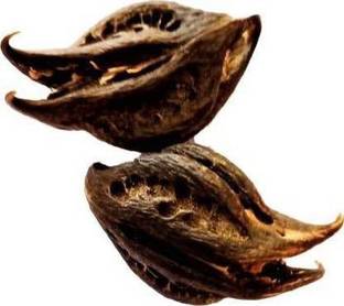 Herbocure Bat head root, Devil pod Seed