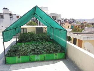 SIDDHI GREEN NET 25X15 FEET (300X180 INCH) Portable Green House