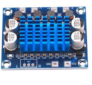 Diycart TPA3116D2 Digital Amplifier Board with Filter(50W + 50W Dual Channel Stereo) Class D Audio DC 12-24V Electronic Components Electronic Hobby Kit