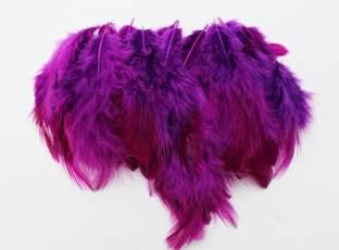 handymandy store Pack of 200 Decorative Feathers