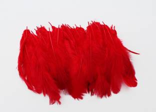 handymandy store Pack of 100 Decorative Feathers