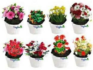 VAYINATO NA Grow Bag