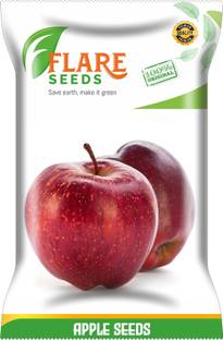 FLARE SEEDS APPLE Seed