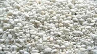 Haritkarni Perlite 500 gm for Horticulture Fine Grade For Gardening Hydroponics Manure Manure
