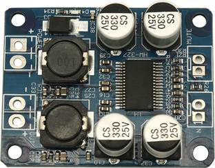Electronic Spices TPA3118 DC 12V-24V Mono Digital Audio Power Amplifier Board Module Electronic Components Electronic Hobby Kit