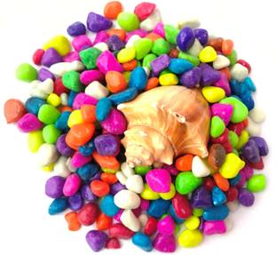 Nitishree Small Size Multi Stone with Natural Sea Shell Shankh (1000gm) River Rock Planted Substrate