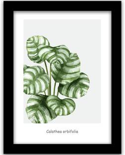 Rainbow Arts Green Leaf Wall Paintings with Frame for Living Room - Framed Leaf Wall Posters - Botanical Leaf Poster with Frame Digital Reprint 14 inch x 11 inch Painting