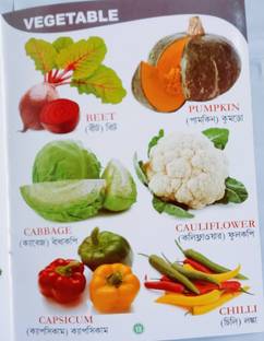 Children Vegetables Recognition Book