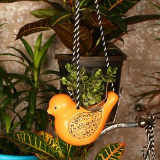 Justoriginals Hanging Bird Ceramic Ceramic Flower Pot(Color:Orange) Plant Container Set