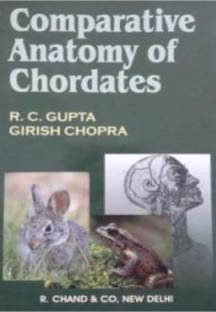 Comparative Anatomy Of Chordates