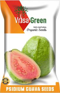 Vrisa Green GUAVA FRUIT Seed