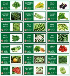 CYBEXIS 21-Varieties-Hybrid Vegetable Seeds Combo Seed