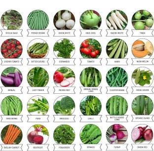 CYBEXIS 30 Varieties of Vegetable Seeds Exotic Vegetable Heirloom Varieties Grow Seed
