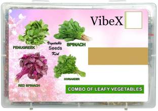 VibeX 4-Varieties-Leafy Vegetable Combo-Fenugreek, Spinach, Red Spinach, Coriander Seed