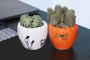 Bright Shop Ceramic Handmade Planter Pot,For Plants, Decorative Planter Combo Pack Of 2 Ashwani Plant Pot,(Orange & White) Ceramic Vase