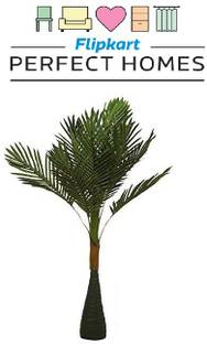 Flipkart Perfect Homes Bonsai Artificial Plant  with Pot